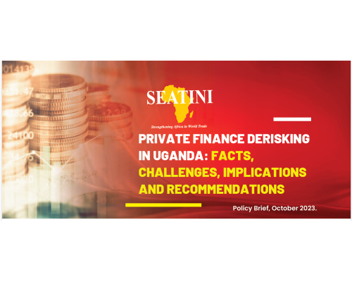 PRIVATE FINANCE DERISKING IN UGANDA: FACTS, CHALLENGES, IMPLICATIONS AND RECOMMENDATIONS
